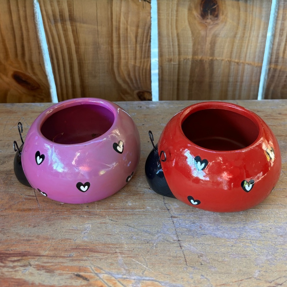 Set of 2 Rocket Farms Lovebugs Ladybugs Mini Planters Purple & Red with Hearts